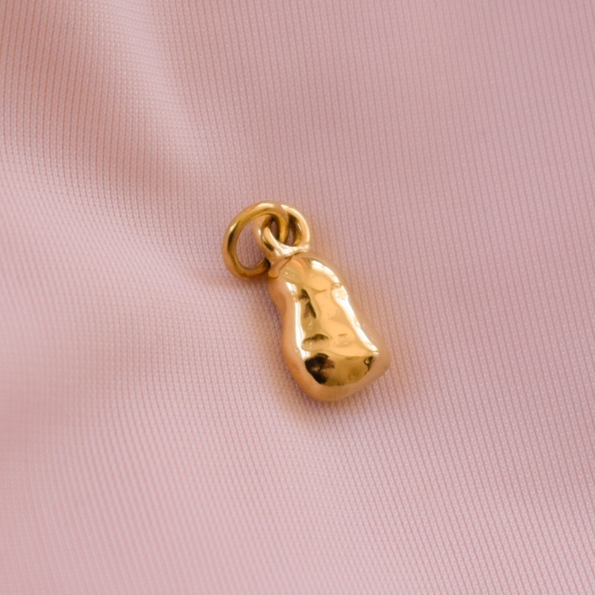 Nugget Charm