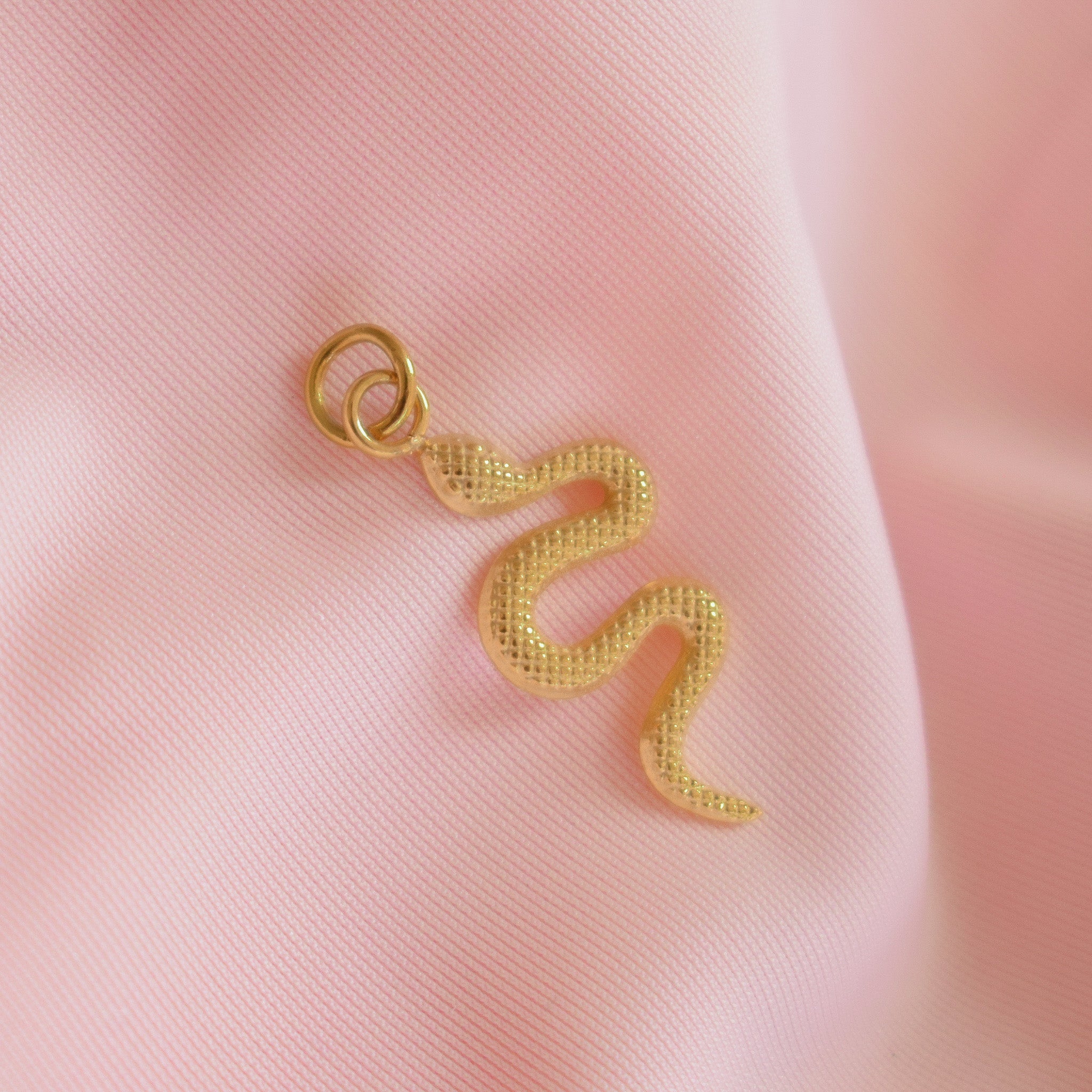 Snake Charm