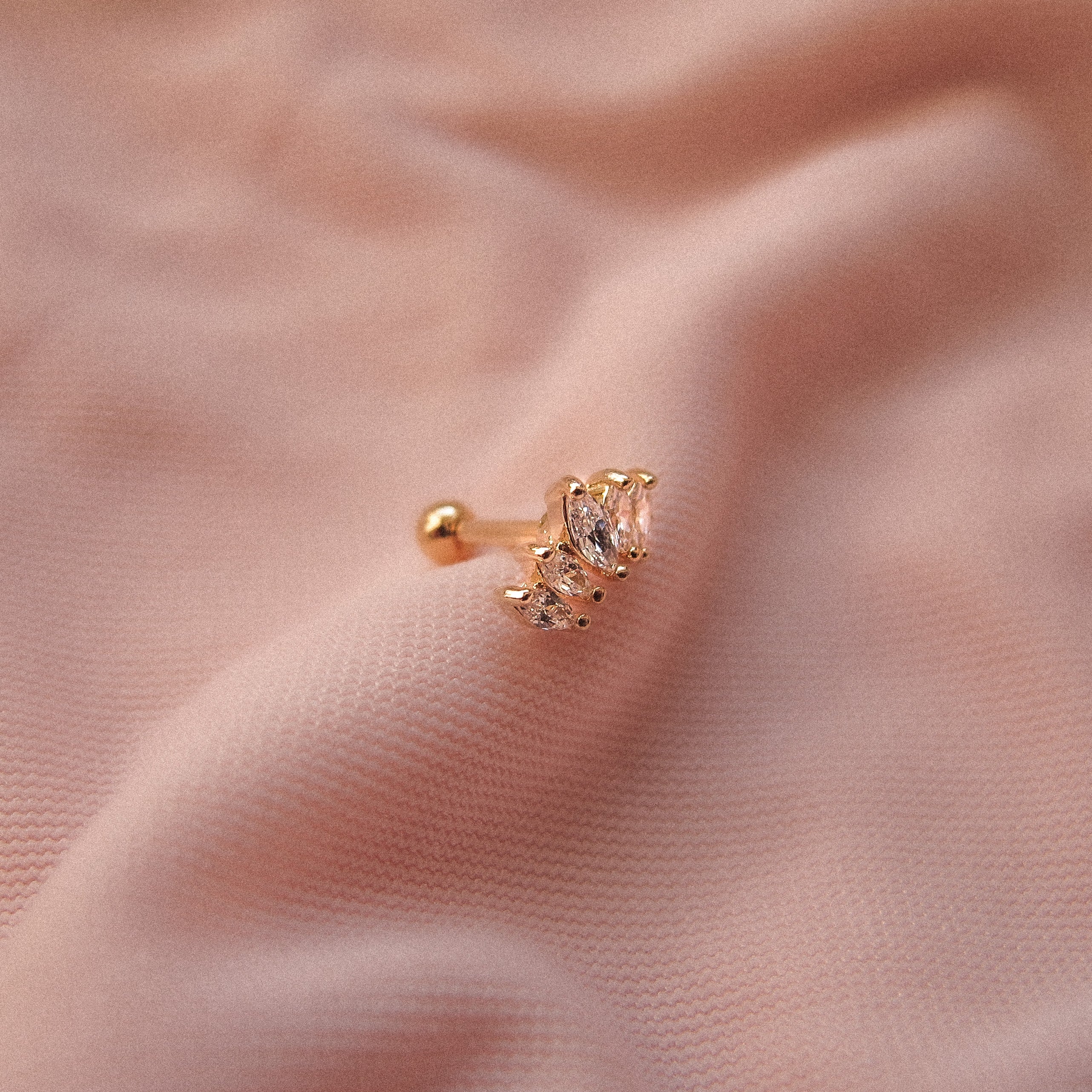 Tragus