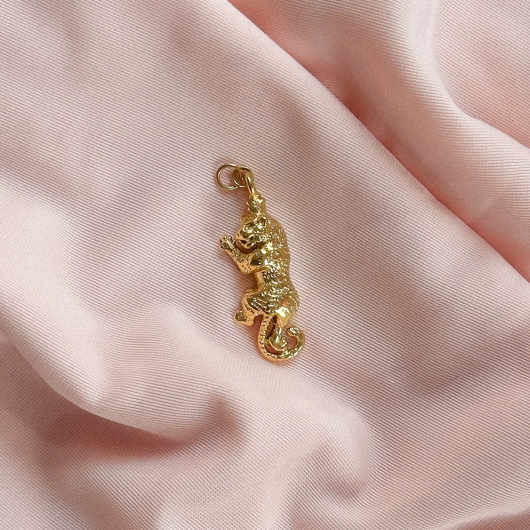 Climbing Tiger Charm