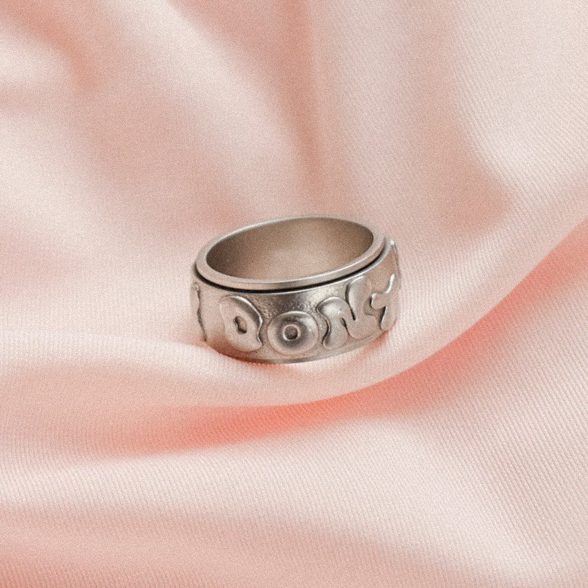 "I Don't Belong" Fidget Ring
