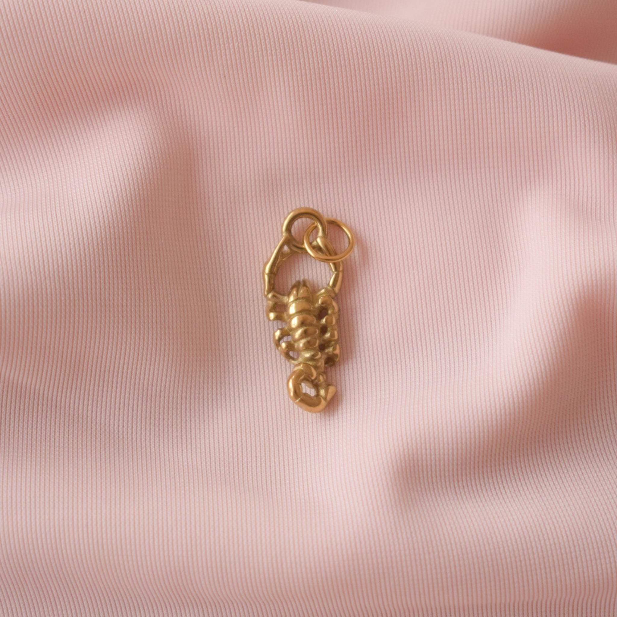 Scorpion Charm